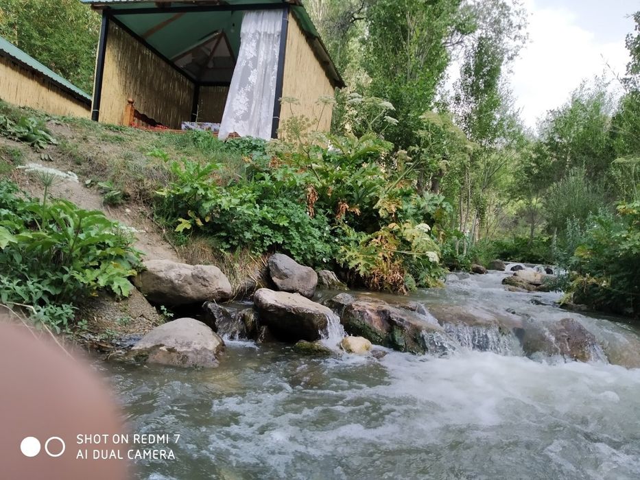 Zomin togʻlarida dam oling