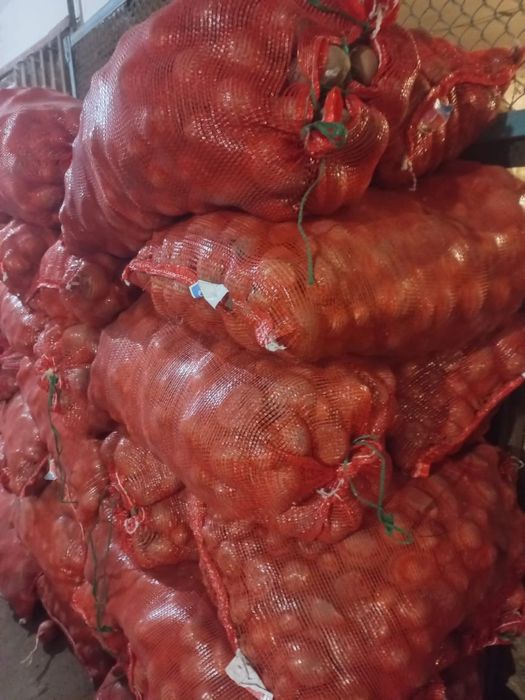 Картофель на корм корма для животных