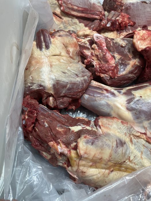 Соғым * Жабағы *