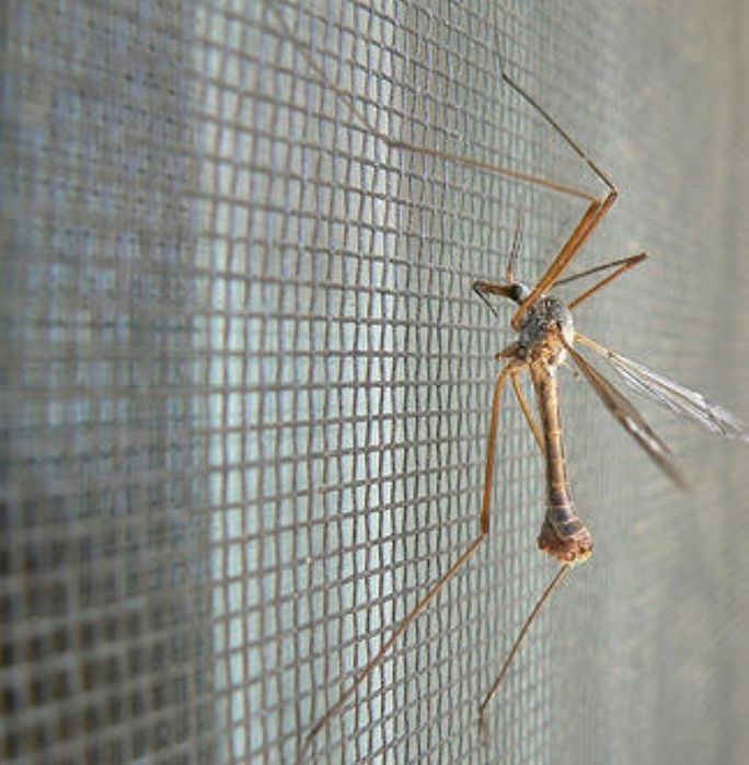 Установка москитный сеток