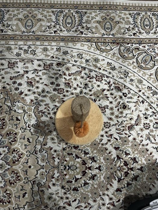 продаю когтеточку для котов