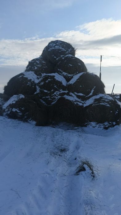 Продам сено в рулоне с доставкой