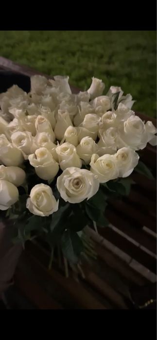 Белые розы 51 шт