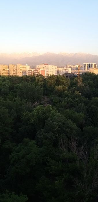 Сдам однокомнатную квартиру на Гагарина Джамбула  260 000 тенге