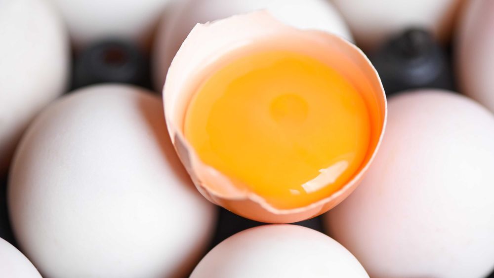 германия витамин Красител премикс товукларга