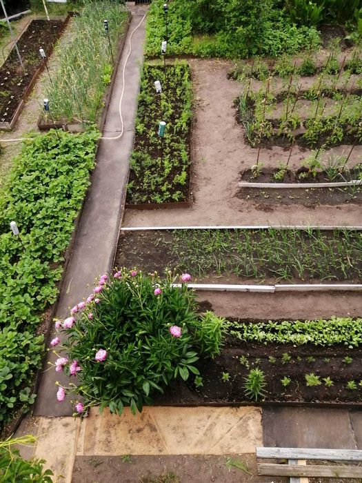 Дача в садовом обществе Горизонт