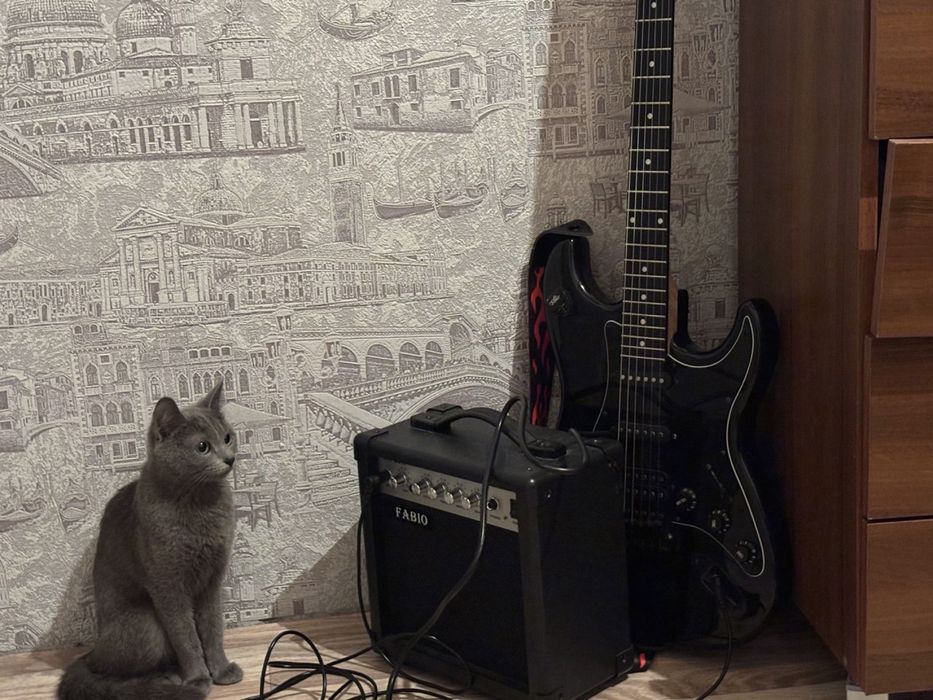 Электрогитара с шнуром jack