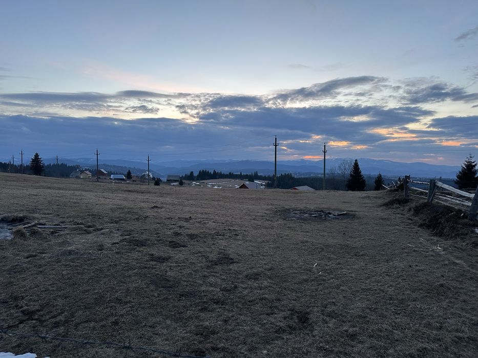 Teren in Marisel, Copcea aproape de partie