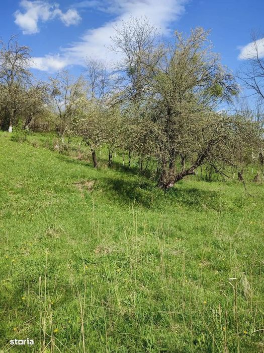 Teren + Autorizatie De Constructie | Prahova| Provita De Sus| Breaza