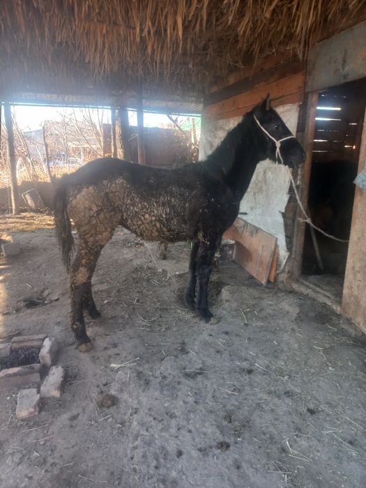 Обмен есть предлагайте