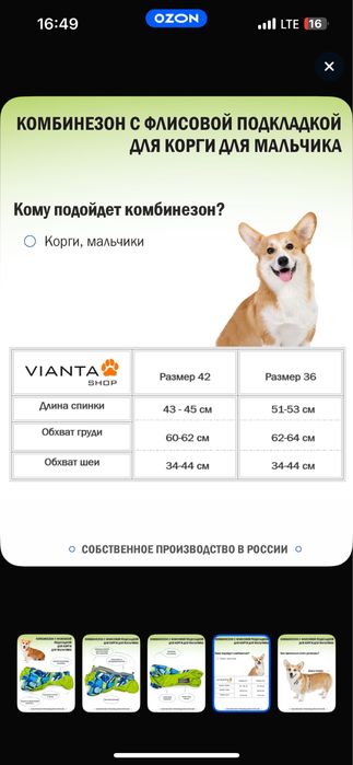 Одежда комбинезон для собак