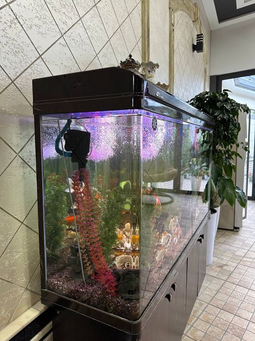 Akvarium sotiladi