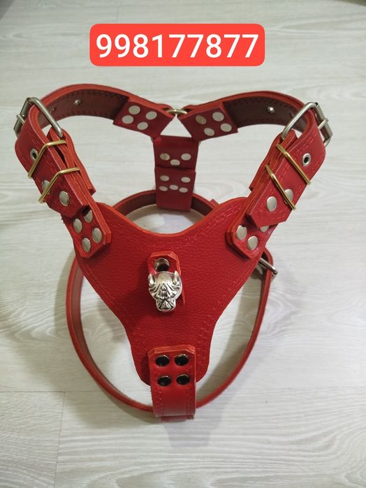 Ашейник шилейка павадок