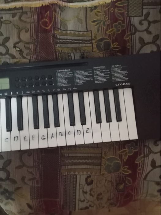 Синтезатор Casio