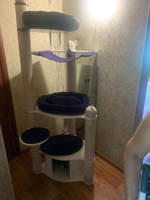 Игровой домик для кошек с диваном