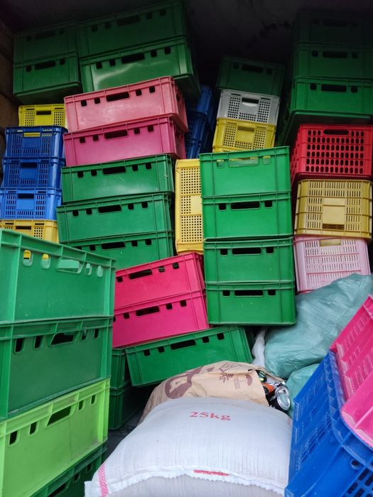 Plasmasa yashikla bor