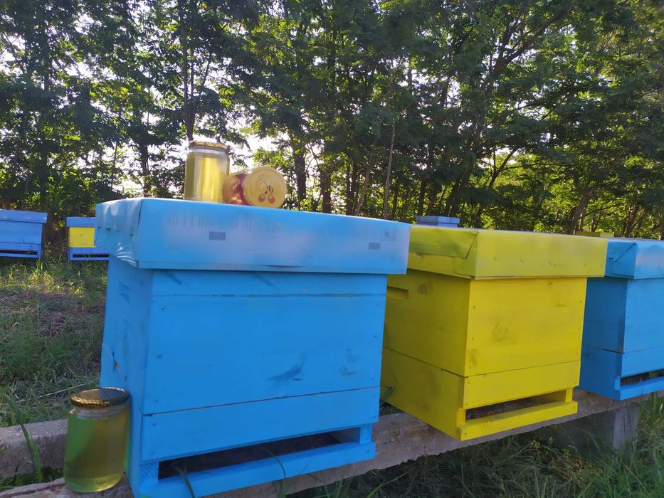 Пчелен мед от Средна гора