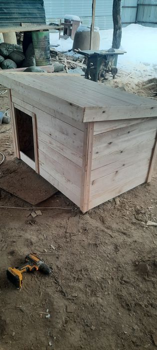 Будка для собак.