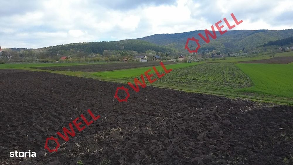 Teren intravilan de vânzare în Bicfalău!
