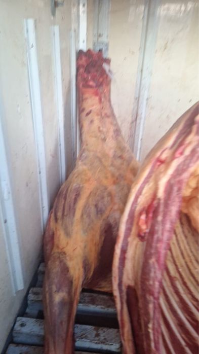 Баитал распродажа согым мясо