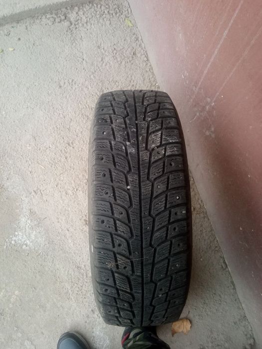 Зимние шины с шипами