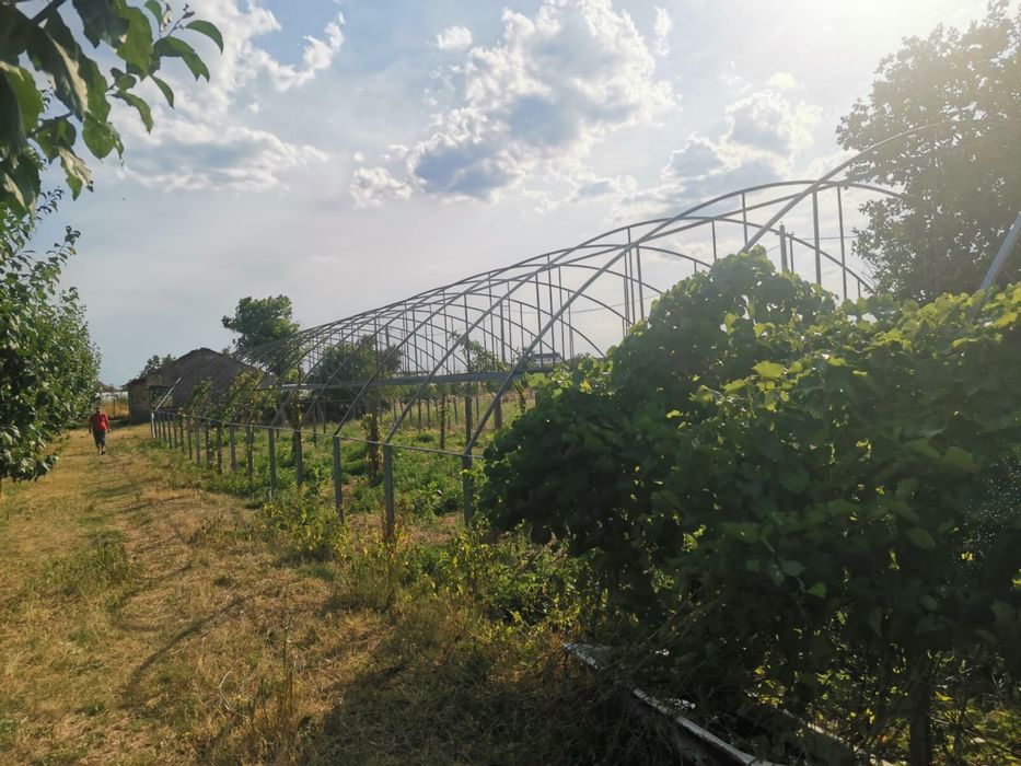 Sera/solar din teava zincata