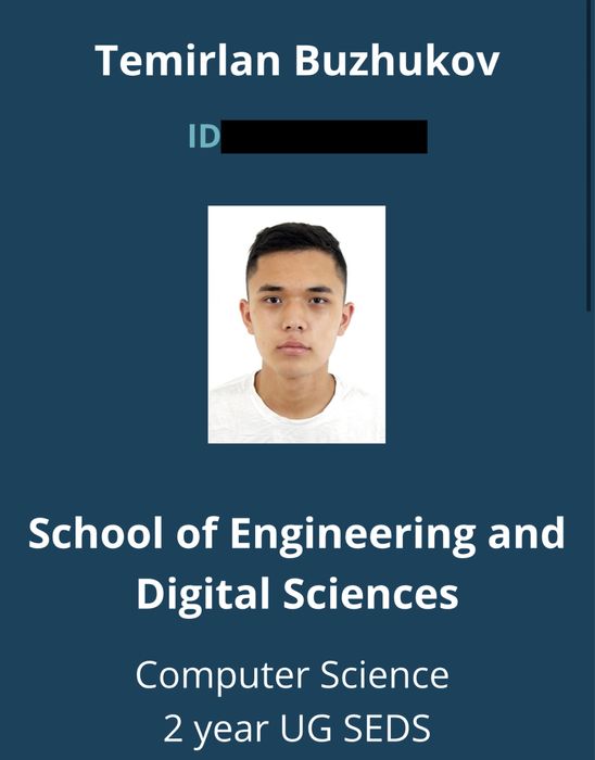 Преподаватель по математике и программированию