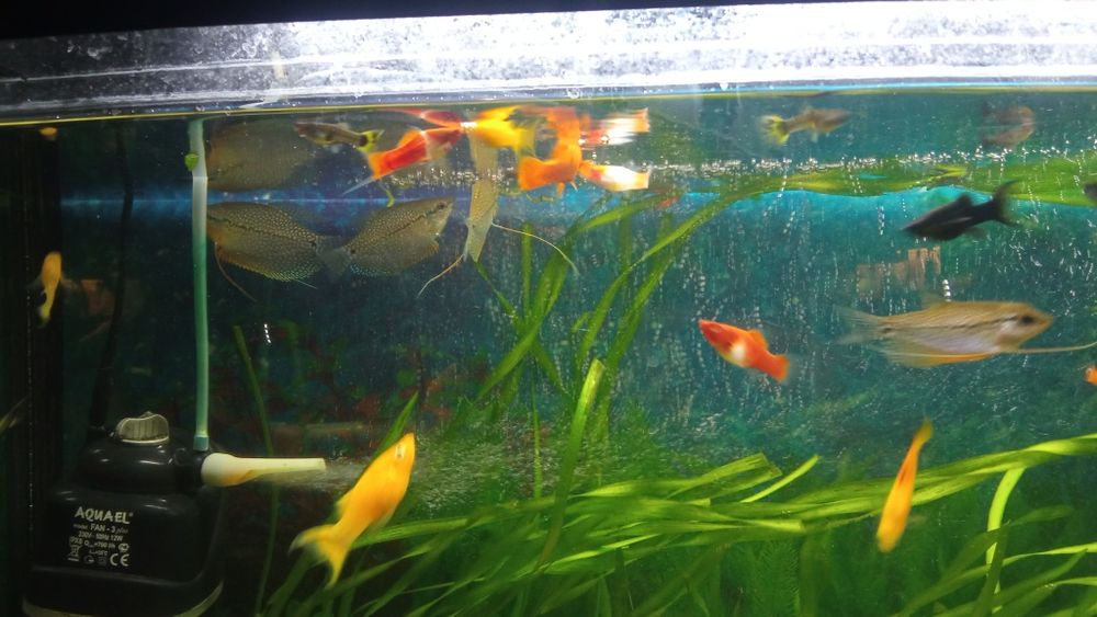 Продам аквариум 105 литров
