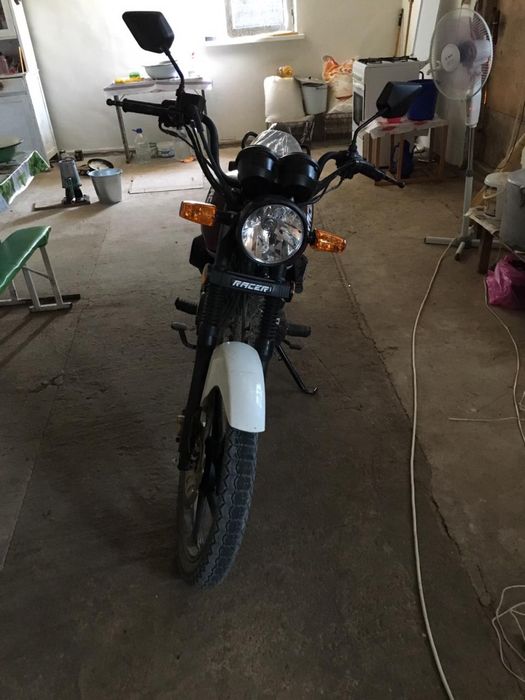 Racer tiger рейсер тигр