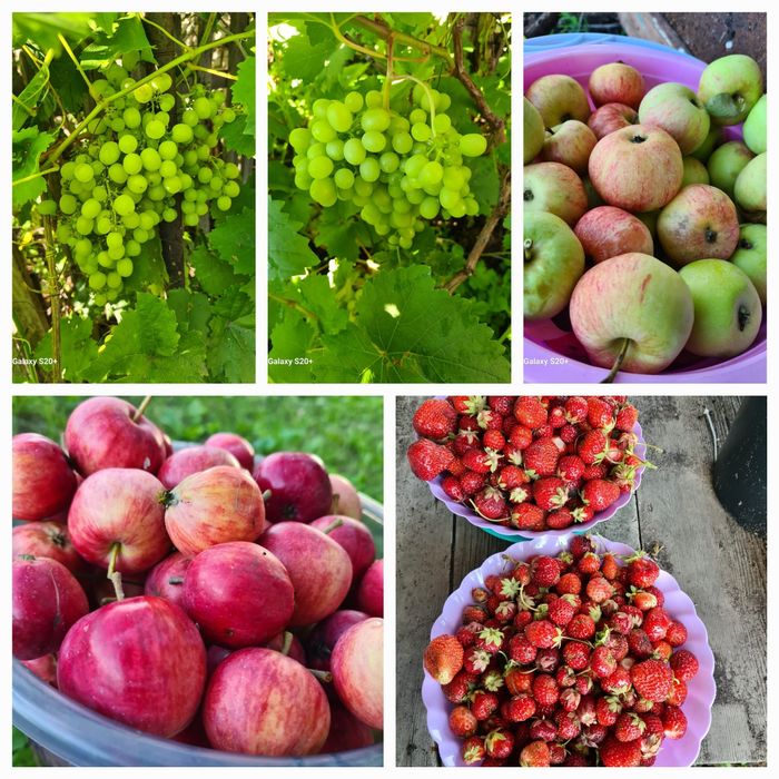 Продам дачный участок