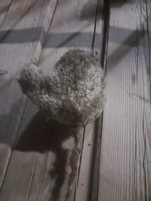 Құрқұлтай ұясы. Ішінде тұқымы жоқ