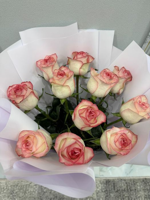 Продам цветок бу