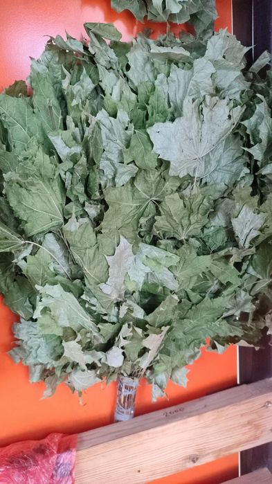 Веники для бани.