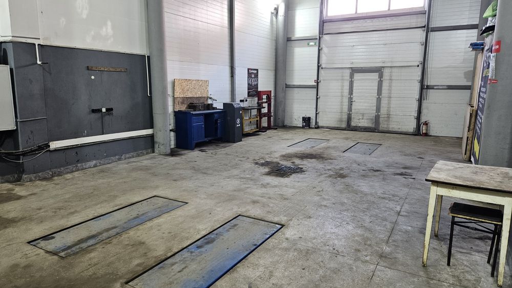 Сдам в аренду подьемники на СТО.