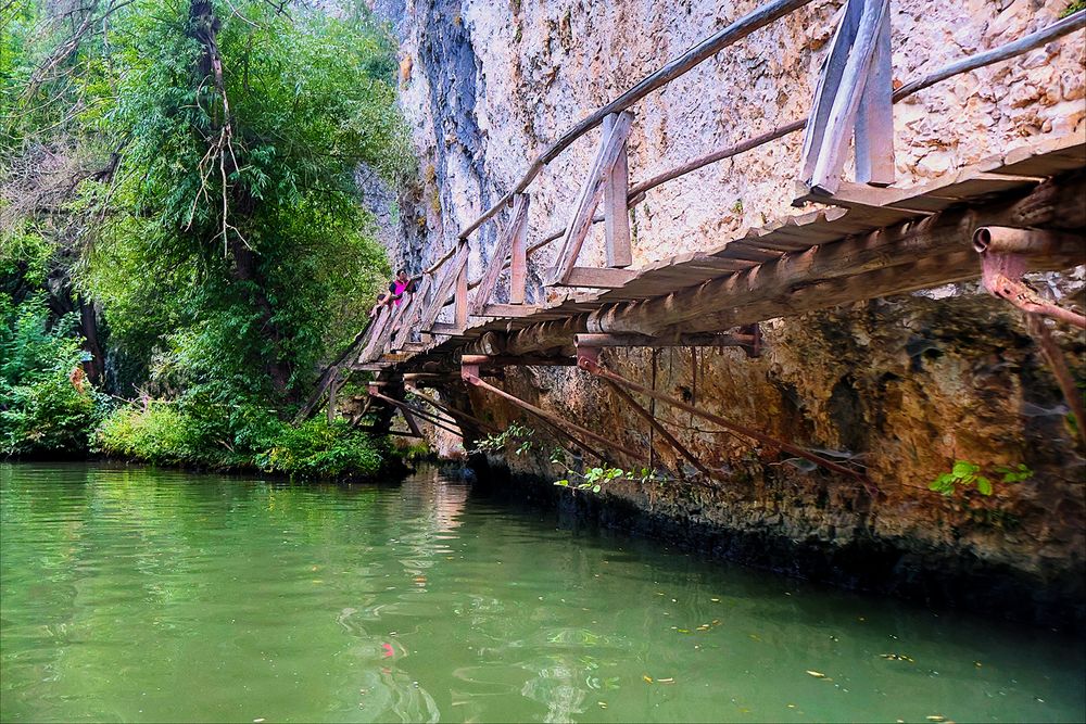 Професионални фотосесии – специална оферта за нови клиенти!