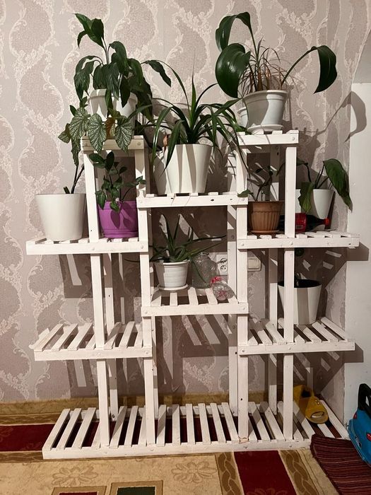 Гул коятын сатам