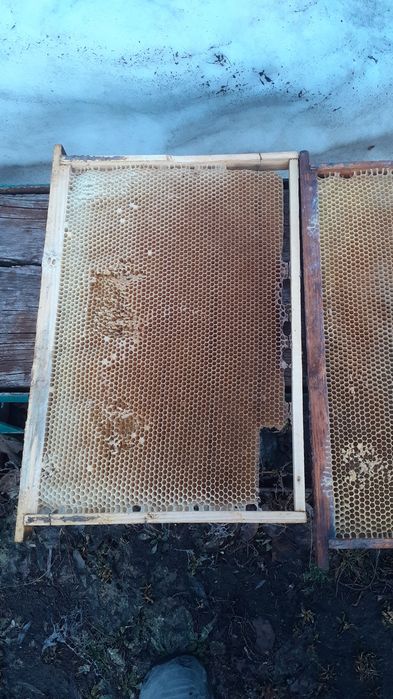 Продам сушь, улья,фляги