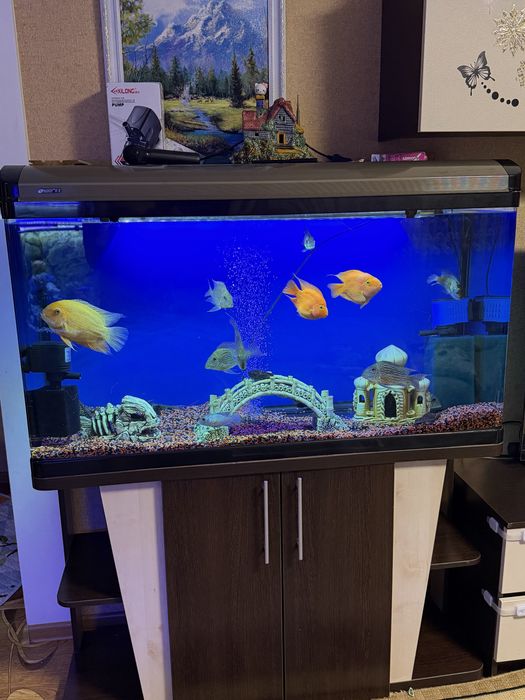 Заводской аквариум на 350 литров