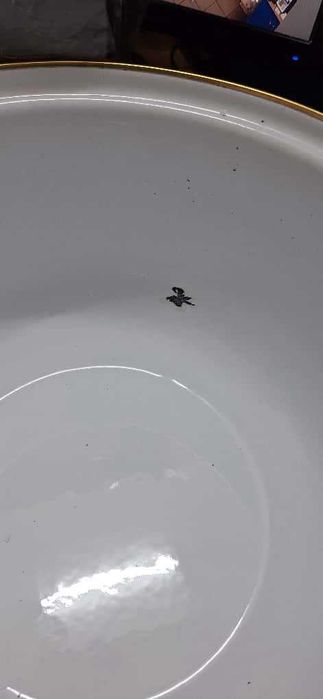 Тенджера Goldmann GM 8017-22G, 5л, 22х14 см