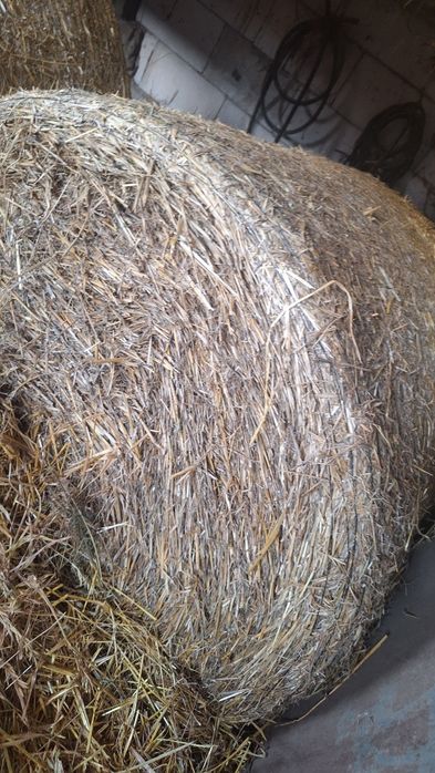 Vând rotobali de fân