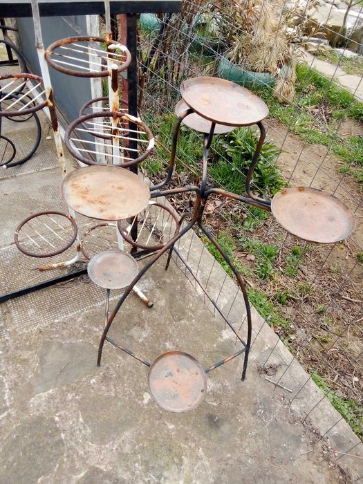 Распродажба саксийни цветя