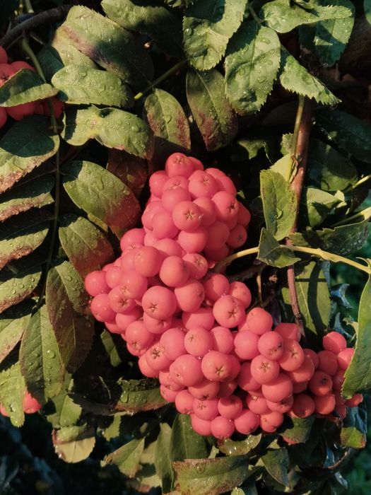 Обменяю 3ех комн квартиру