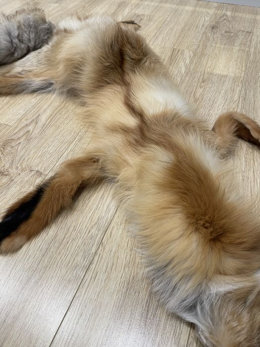 Воротник лисы