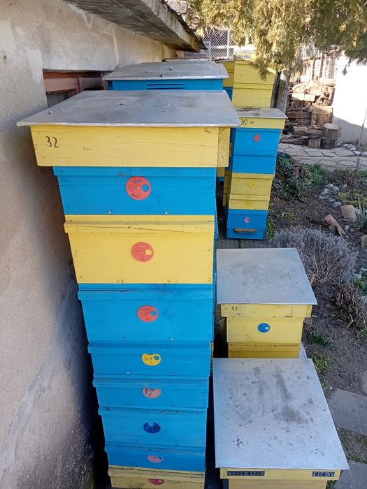 Многокорпусни кошери