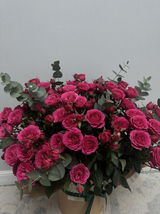 Продам цветы свежие