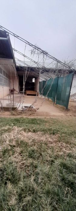 Ko‘chmas mulk sotish