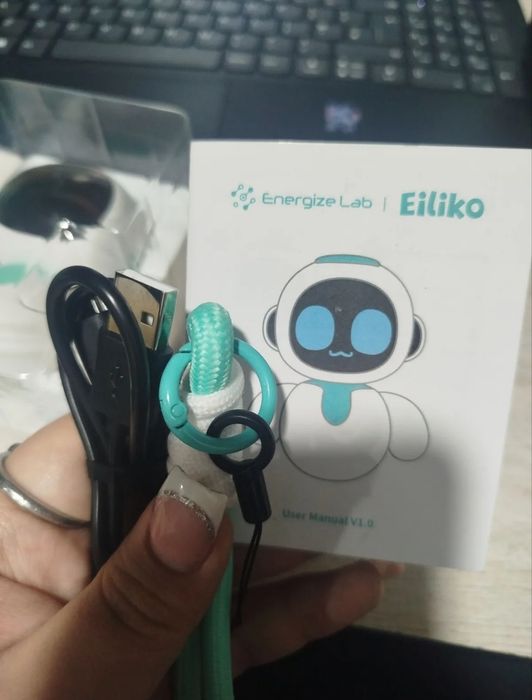 Robot AI Eiliko умный робот