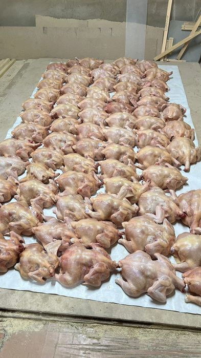 Мясо цыплёнка бройлера