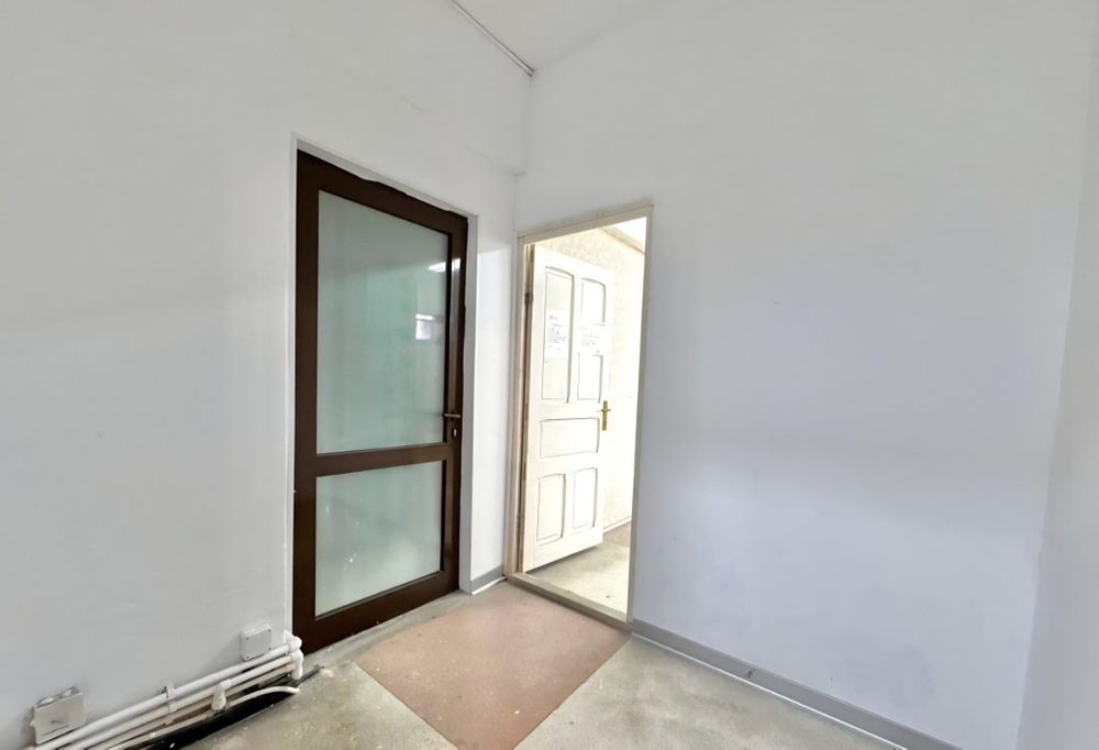 Spatiu comercial nicolina