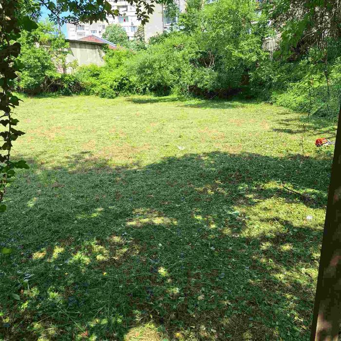 Поддръжка и почистване на зелени площи/Косене на трева